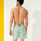 Men Classic Printed - Men Swimwear Micro Macro Ronde Des Tortues, Lagoon back worn view