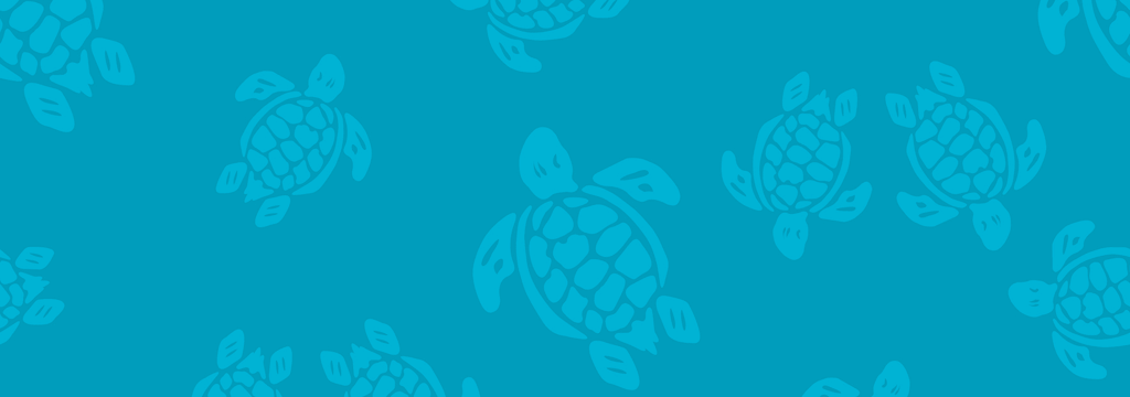 Herren Klassische Magie - Mit Wasser reagierende Ronde des Tortues Badeshorts für Herren, Horizon pattern Herren Klassische Magie - Mit Wasser reagierende Ronde des Tortues Badeshorts für Herren, Horizon pattern