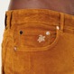 Men Others Solid - Men 5-pocket Velvet Pants Regular fit, Tobacco details view 1