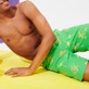 Men Classic Embroidered - Men Swimwear Embroidered 2012 Flamants Rose - Limited Edition, Grass green details view 3