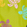 Maillot de bain ultra-léger et pliable homme long Ronde Des Tortues Multicolore, Matcha 