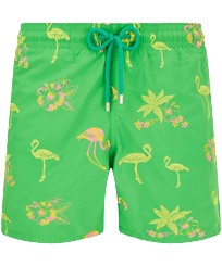 Men Classic Embroidered - Men Swim Trunks Embroidered 2012 Flamants Rose - Limited Edition, Grass green front view