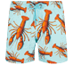 Men Others Printed - Men Stretch Swim Trunks Lobster, Lagoon front view