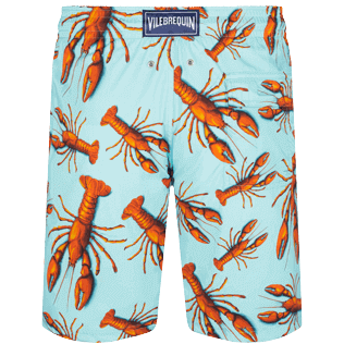 Herren Klassische lange Bedruckt - Lange Lobster Stretch-Badeshorts für Herren, Lagune Rückansicht
