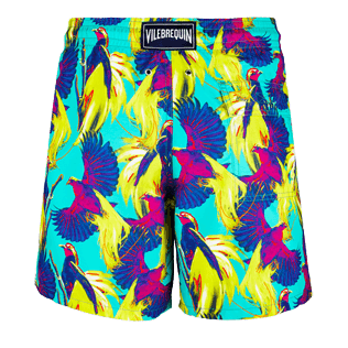 Hombre Corte Clásico Estampado - Bañador con estampado Birds of Paradise para hombre, Veronese green back Hombre Corte Clásico Estampado - Bañador con estampado Birds of Paradise para hombre, Veronese green back