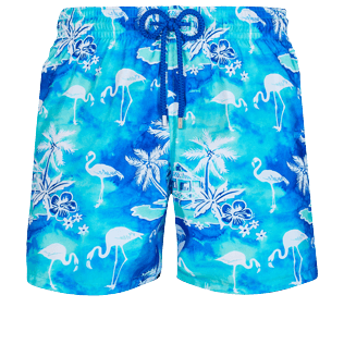 Men Ultra-light classique Printed - Men Swim Trunks Ultra-light and packable 2012 Flamants Roses, Lagoon front view