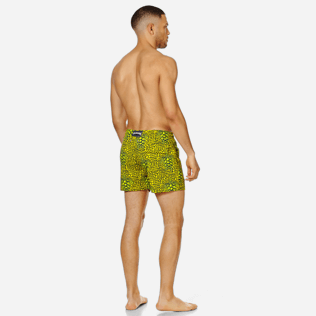 Homme CLASSIQUE STRETCH Imprimé - Maillot de Bain Homme Stretch Shell Turtles, Cedrat backworn Homme CLASSIQUE STRETCH Imprimé - Maillot de Bain Homme Stretch Shell Turtles, Cedrat backworn