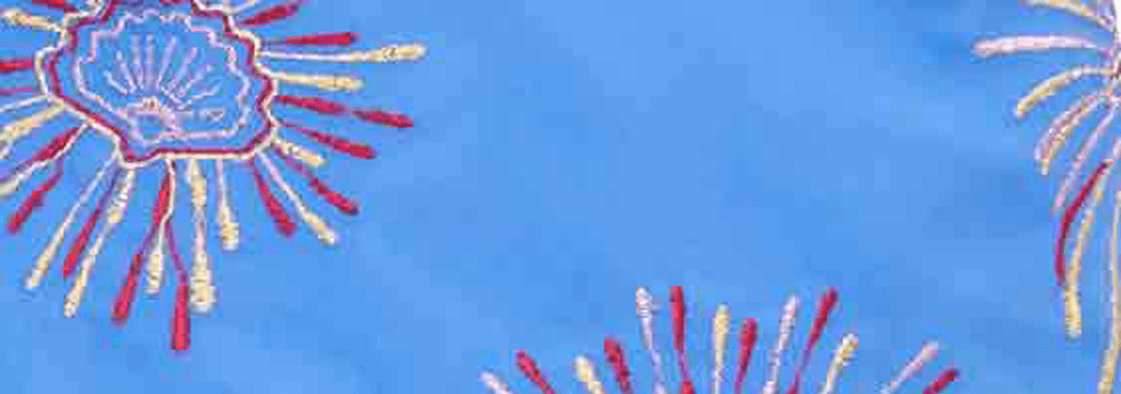 Hombre Clásico Bordado - Bañador con bordado Fireworks para hombre - Edición Limitada, Mar azul estampado