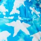 Men Ultra-light classique Printed - Men Ultra-light and packable Swim Shorts Clouds, Hawaii blue details view 5