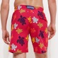Men Others Printed - Men Stretch Long Swimwear Ronde Des Tortues, Burgundy back worn view