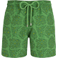 Costume da bagno uomo ricamato 2015 Inkshell - Edizione limitata Verde prato inglese vista frontale