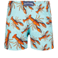 Men Others Printed - Men Stretch Swim Shorts Lobster, Lagoon back view