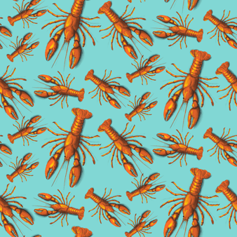 男士 Lobster 长款游泳短裤 Lagoon 打印