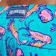 Men Ultra-light and packable Swim Shorts Crevettes et Poissons Curacao details view 3