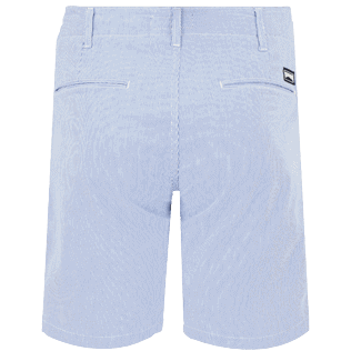 Men Others Graphic - Men Chino Micro Stripes Bermuda Shorts, Pastel back view