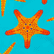男士 Starfish Dance 弹力泳裤, Curacao 