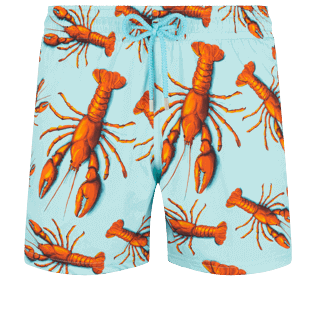 Lobster Stretch-Badeshorts für Herren Lagune Vorderansicht