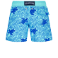Boys Others Printed - Boys Swimwear Turtles Splash Flocked, Lazulii blue back view