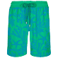 Hombre Clásico largon Estampado - Bañador largo con estampado 2000 Vie Aquatique Flocked para hombre, Veronese green vista frontal