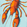 男士 Lobster 弹力游泳短裤, Lagoon 