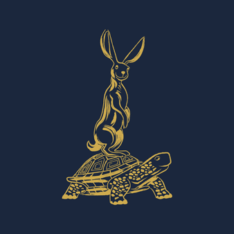 Felpa uomo in cotone The Year of the Rabbit, Blu marine stampe