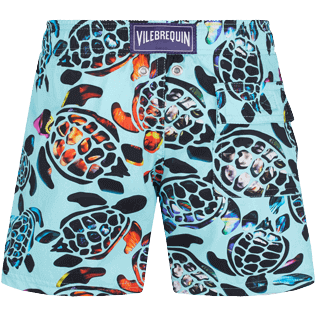 Boys Others Printed - Boys Stretch Swimwear Screen Turtles, Lagoon back view
