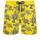 Men Others Magic - Men Swim Shorts Lobster Flocked, Mimosa front view