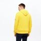 Men Others Solid - Men Full Zip Cotton Cashmere Cardigan, Buttercup yellow back worn view